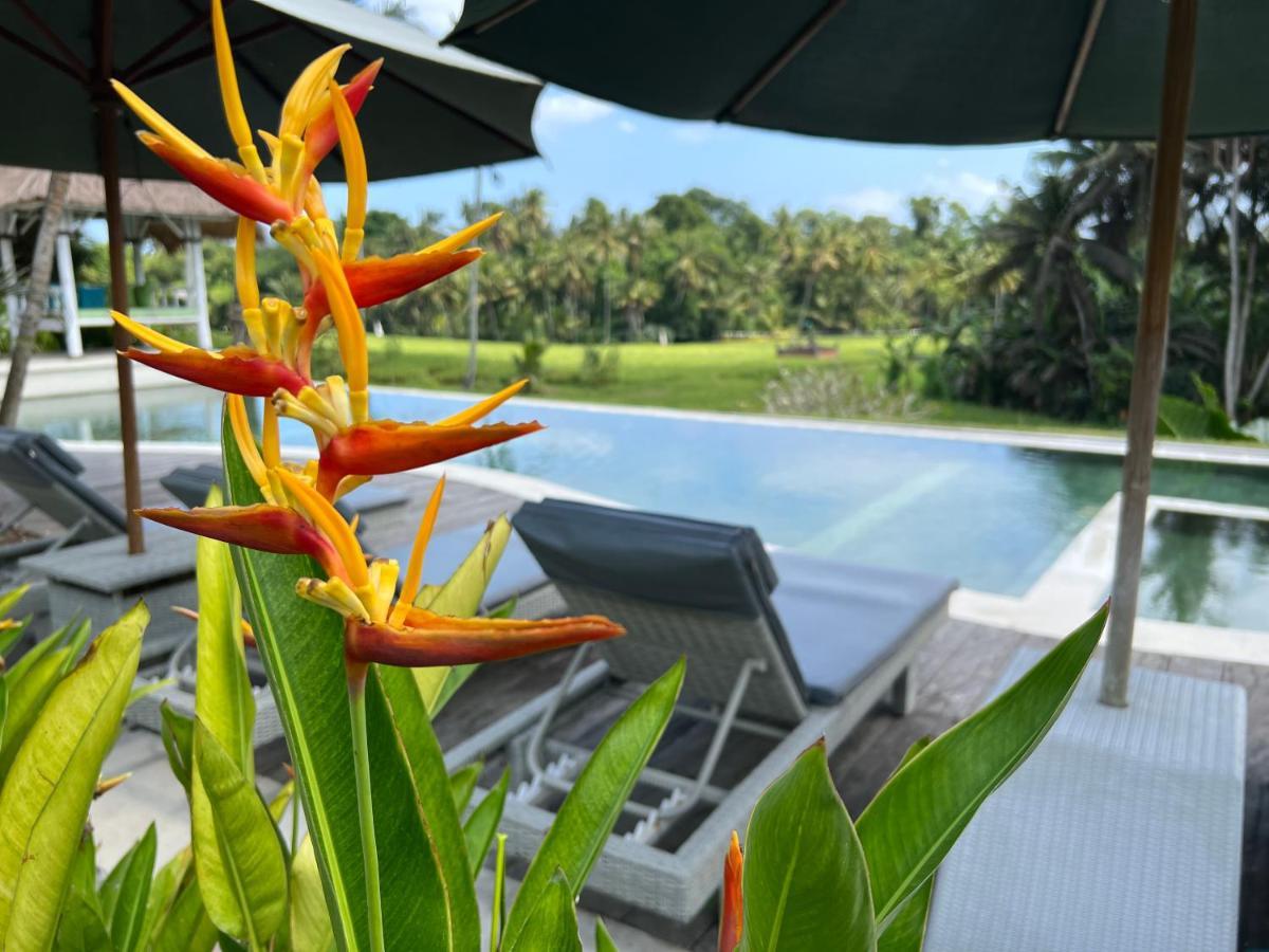 Coco Verde Bali Resort Tanah Lot Esterno foto