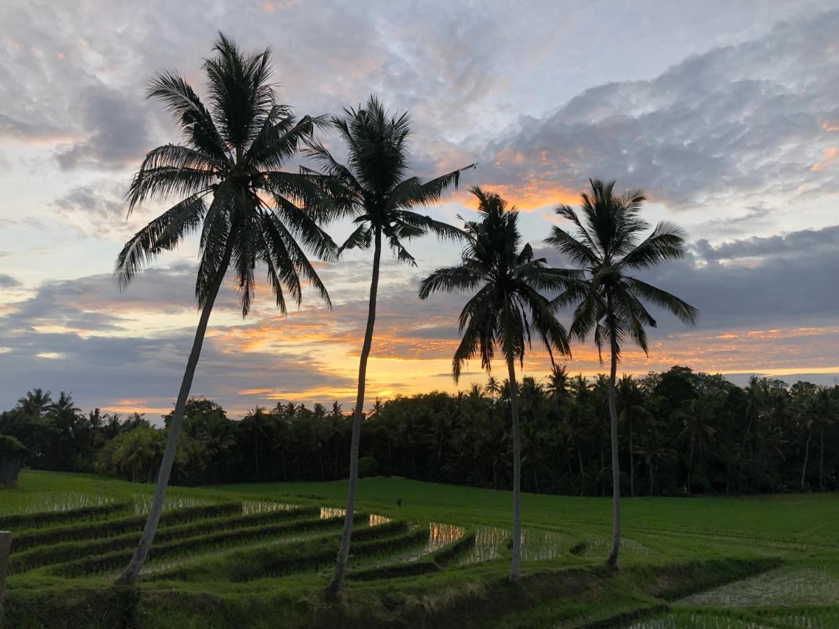 Coco Verde Bali Resort Tanah Lot Esterno foto